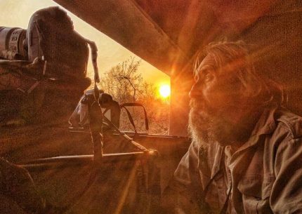 Tailored and Hosted Private Safaris