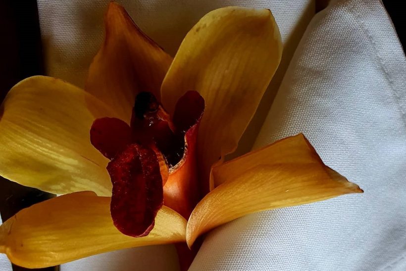 122390115_3735874556431131_1050606220946651769_o