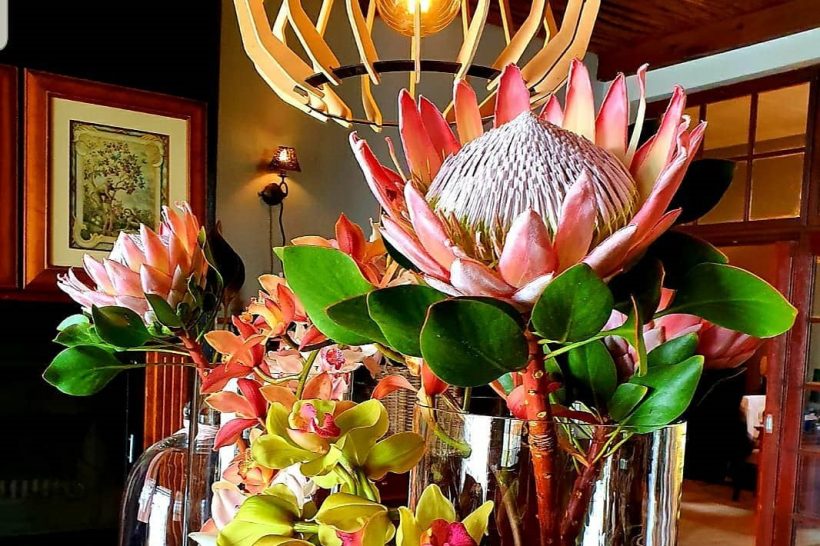 123137608_3761336357218284_5252312933464629145_o