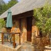1479818347-swainson01 1479818347-swainson01