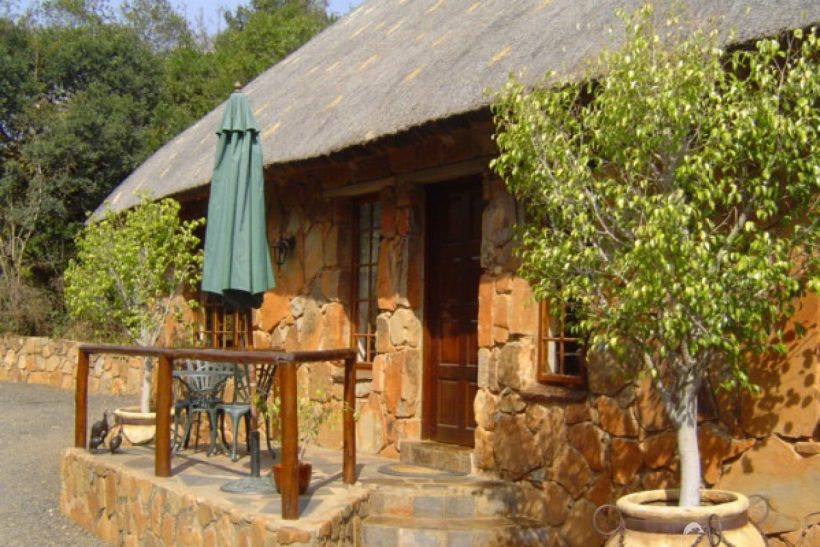 1479818347-swainson01 1479818347-swainson01