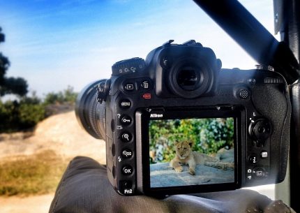 1 to 10 Day Wildlife Photographic Safaris