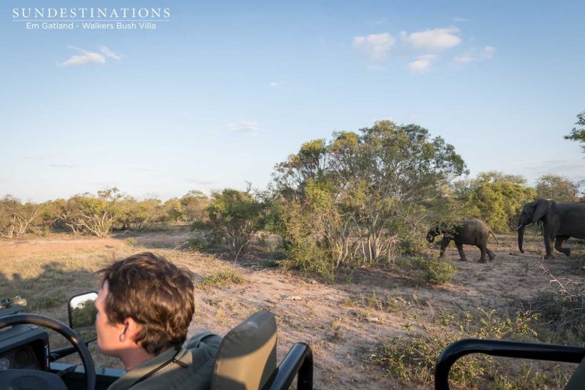 Walkers Bush Villa 12