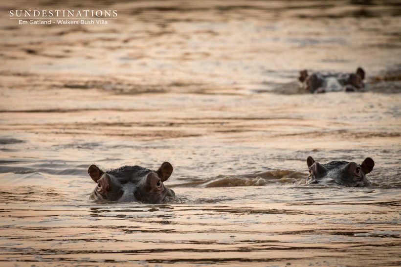 Walkers Bush Villa 13