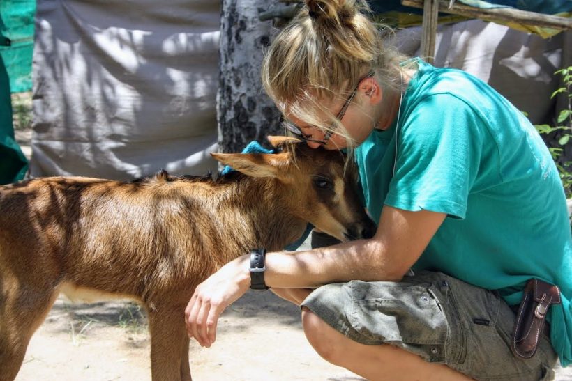 Volunteer & baby antelope