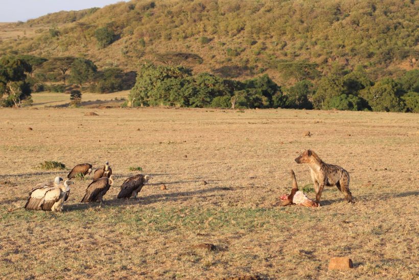 26171864_1549884841725902_8036806452139102628_o