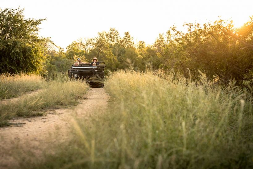 3-game-drive-Timbavati 3-game-drive-Timbavati
