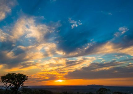 Private AFTERNOON Game Drive in Kruger Park