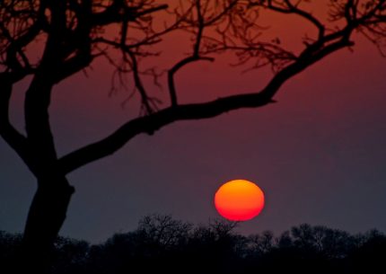 3 Day 2 Night Private Safari starting from Skukuza Airport 2 guests.