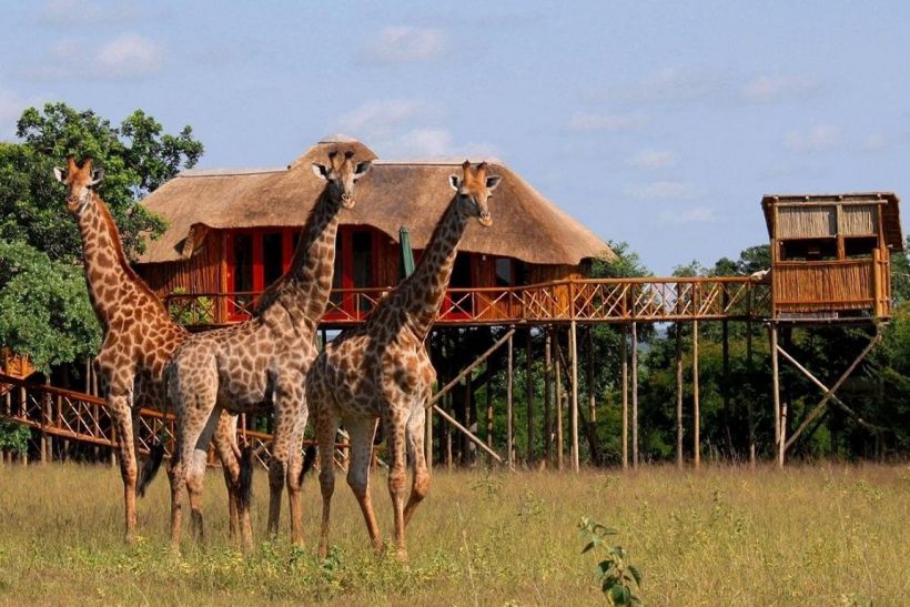 3906-13.jpg.1366x768_q85_crop_upscale