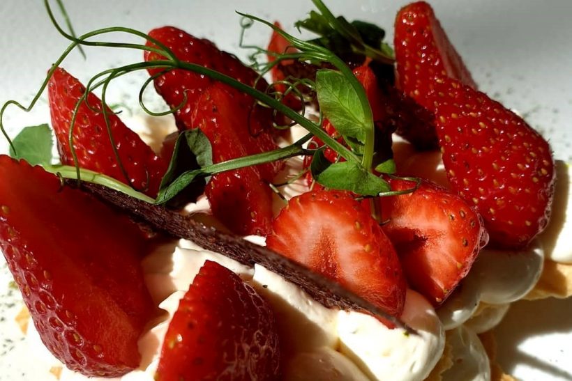 62238224_2503166959701903_1818706323852754944_o