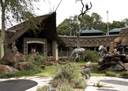 Transfers from Eastgate Airport to Phalaborwa Airport