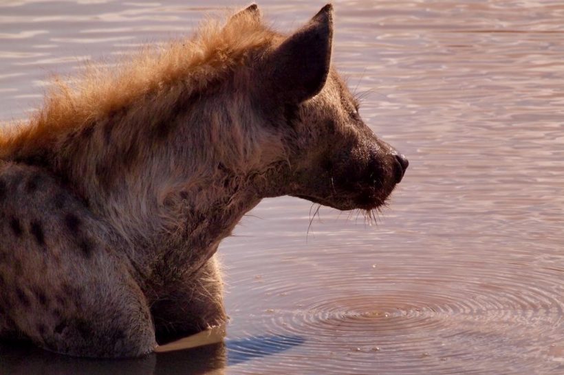 94387659_10219511625835210_5799651037375627264_o