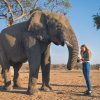 African-Travel-Canvas-Camp-Jabulani-Elephant-Encounter-1