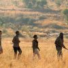Bakubung-Wildlife-experience-1000x667_Rev