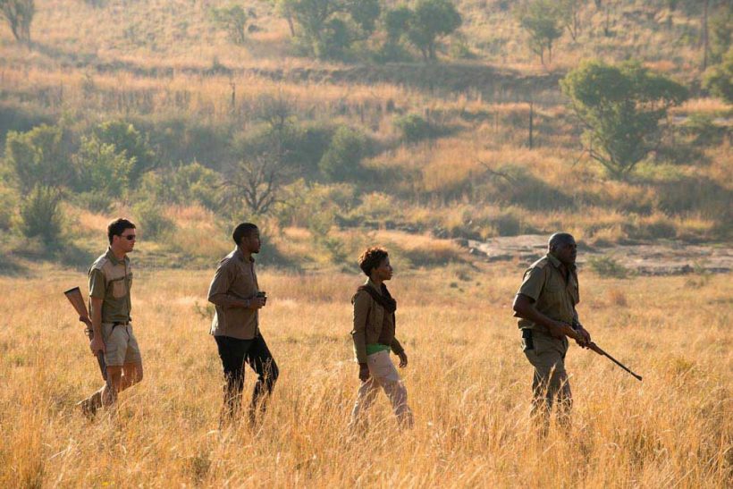 Bakubung-Wildlife-experience-1000x667_Rev Bakubung-Wildlife-experience-1000x667_Rev