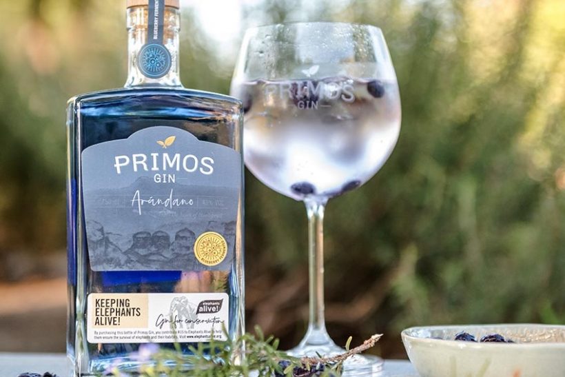 Blyde-river-Primos-Gin2