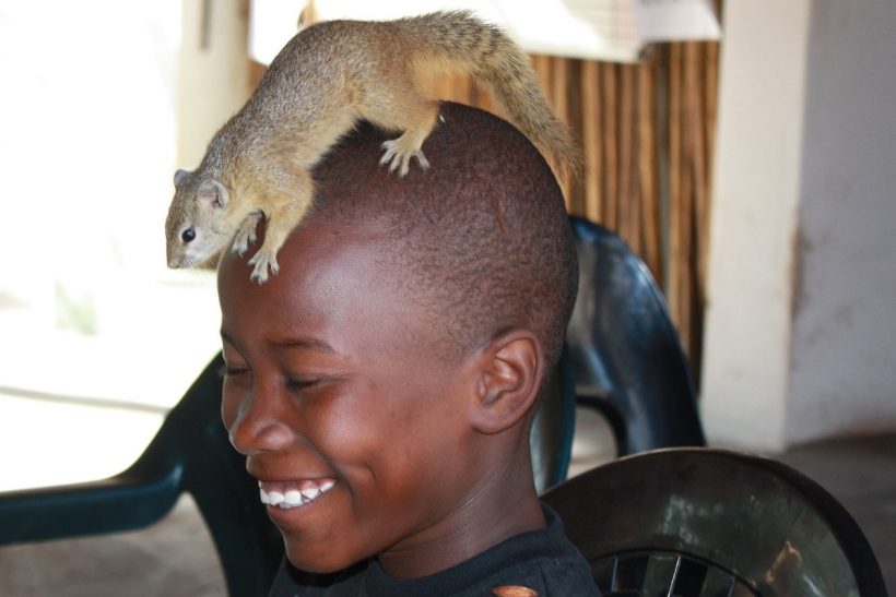 Child & Squirrel 5