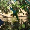 DSC02996