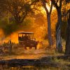 Day Safari in Kruger National Park A2 Landscape