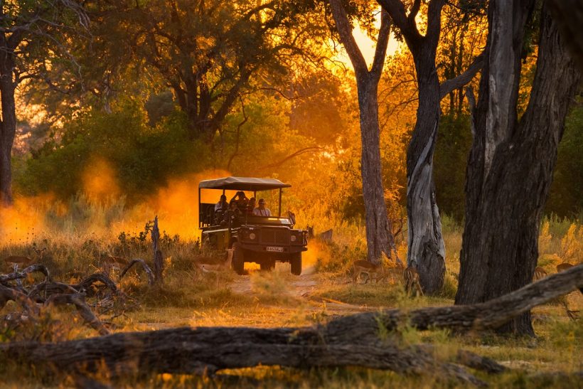 Day Safari in Kruger National Park A2 Landscape