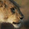 Discoverkruger1 Discoverkruger1