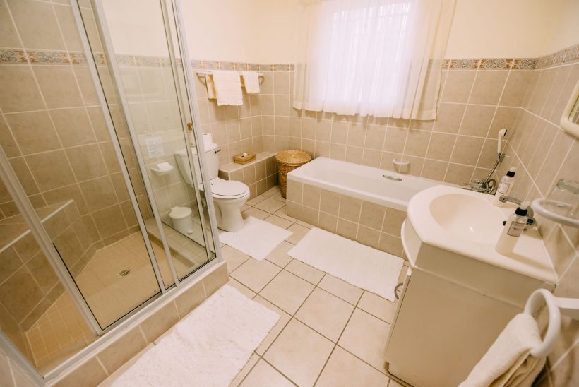 Dolphin-b-room_8739