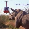Hope-for-Wildlife-Helicopter_IMG_9160
