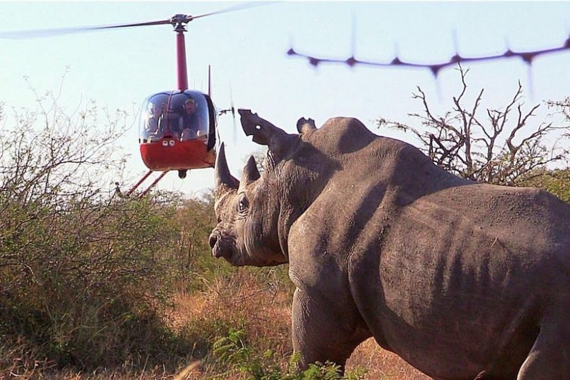 Hope-for-Wildlife-Helicopter_IMG_9160