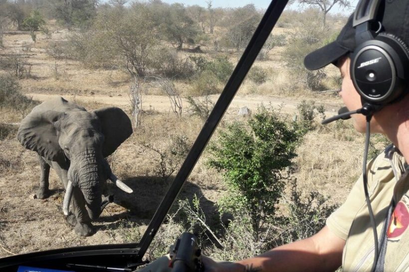 Hope-for-Wildlife-Helicopter_IMG_9260