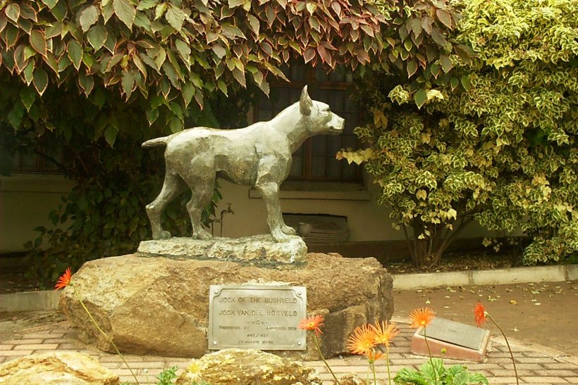Jock Statue Jock Statue
