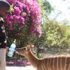 Kgopotso & Nyalou – 7 (1)