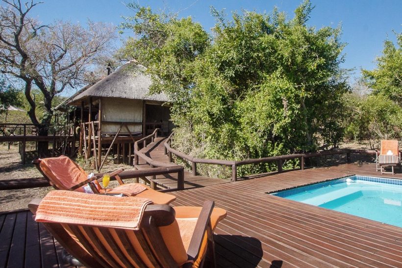 Kruger-Park-Camp-Shonga