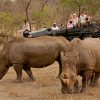 Kwa Madwala Game drives Kwa Madwala Game drives