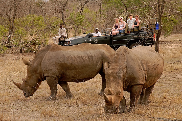 Kwa Madwala Game drives Kwa Madwala Game drives