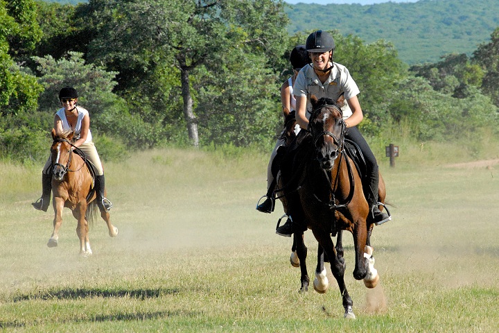 Kwa Madwala Horse Back Safaris 1 Kwa Madwala Horse Back Safaris 1