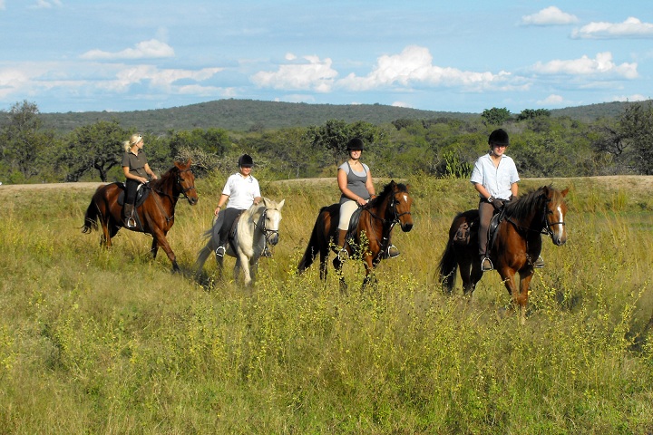 Kwa Madwala Horse Back Safaris 2 Kwa Madwala Horse Back Safaris 2