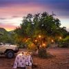 Lush – Game Drive