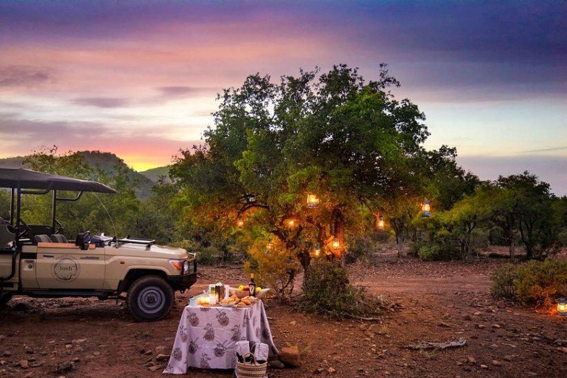 Lush – Game Drive