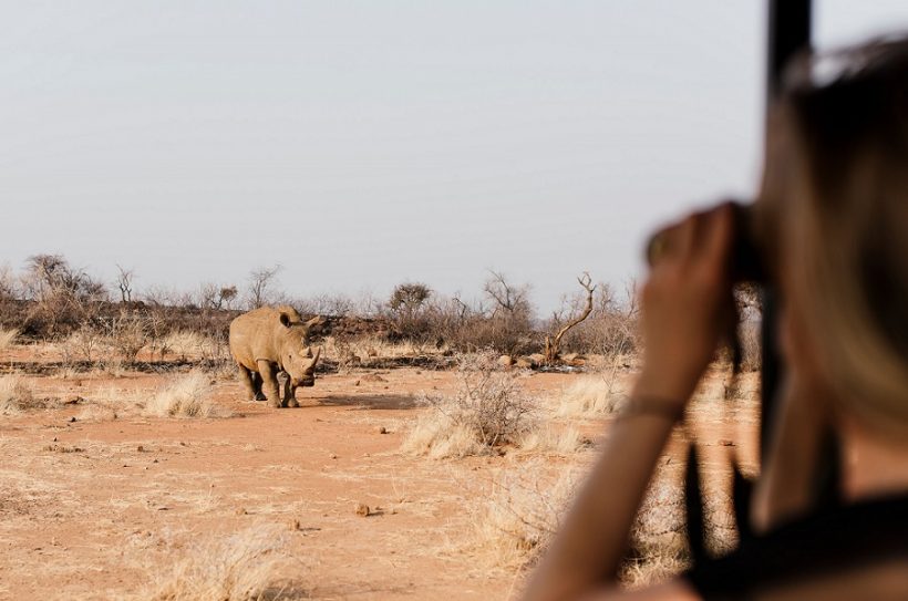 Photographer Marsel Roothman, Lodge Photographer