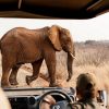 Photographer Marsel Roothman, Lodge Photographer