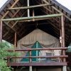 Luxury Safari Tent