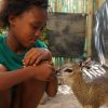 Morongwe & Barney (4)