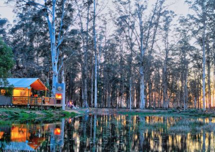 Africamps at Oakhurst