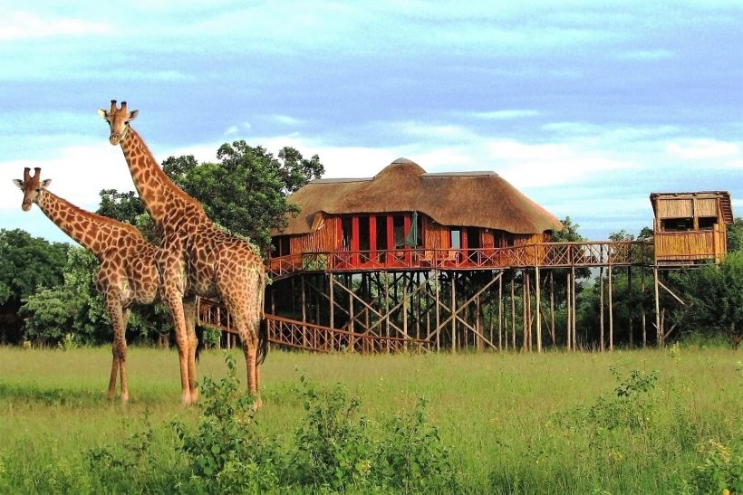 PEZ TREE HOUSE LODGE 1