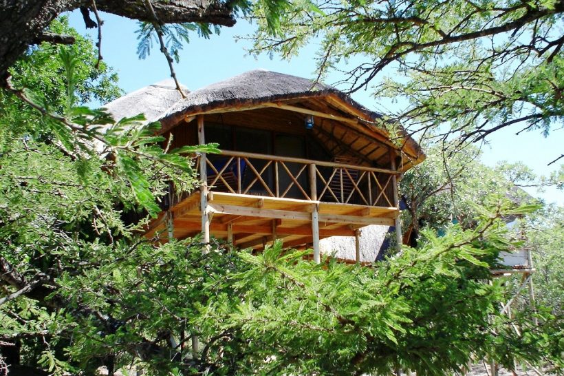 PEZULU TREE HOUSE 1