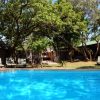 Pool (1) – medium