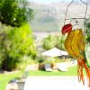 SaffronCottage_10