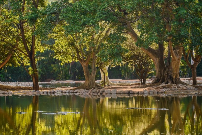 Seronera-Crocodile-farm-101-1080×675