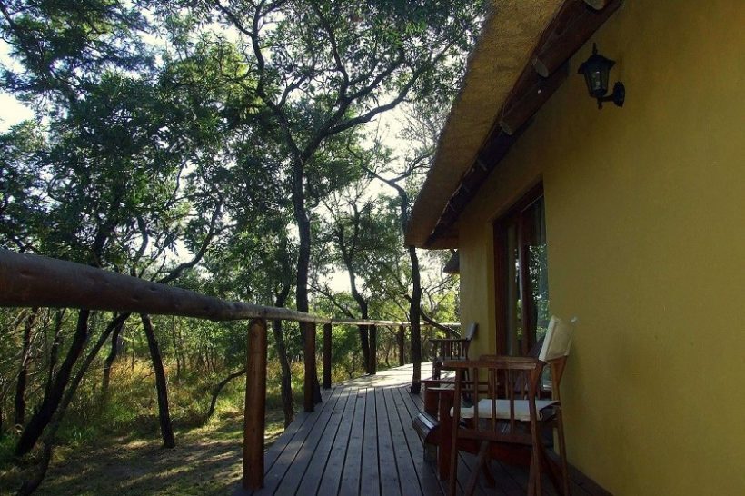 Thornhill_Safari_Lodge_Bushveld_View_From_Deck.jpg.10000x10000_q85_crop-smart